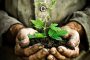 New Plants developed